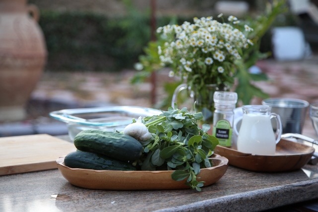 Purslane Cucumber Salad Recipe by Heghineh