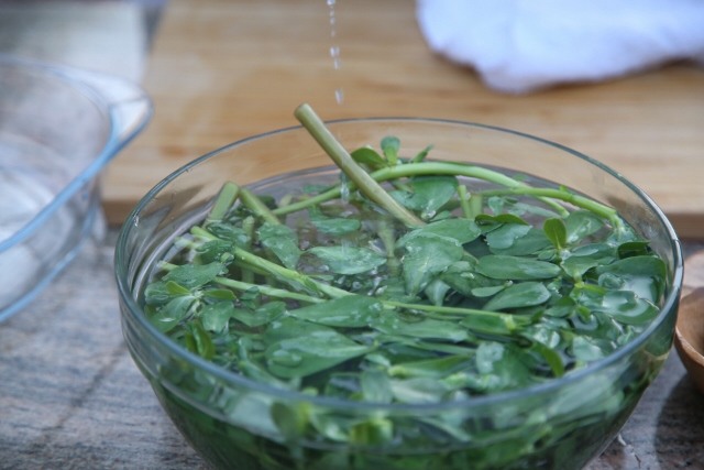 Purslane Cucumber Salad Recipe by Heghineh